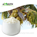 Poudre de noix de coco biologique lyophilisée faible en gras